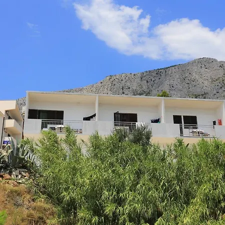 17645a لوكفا روجوزنيكا