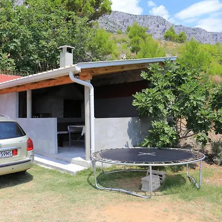 17645a لوكفا روجوزنيكا